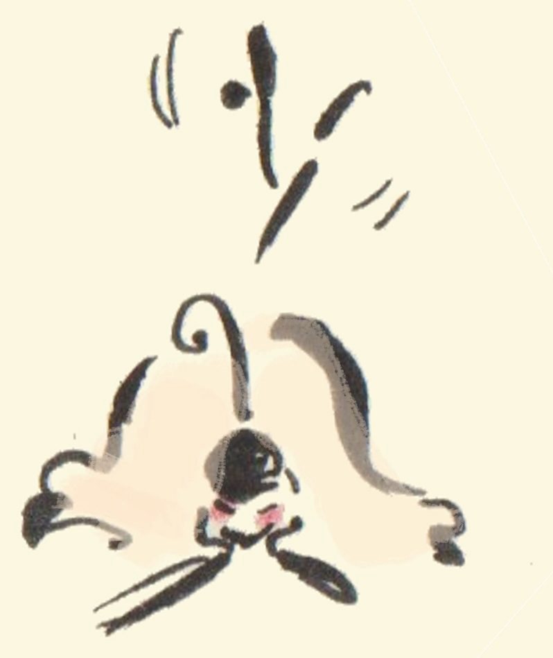 Un petit chien dessiné à l'encre et au lavis, de face